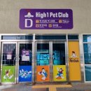 하이원펫클럽 이미지