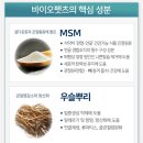 반려견슬개골영양제 바이오펫츠 본허그 영양제 후기