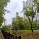 용호초등학교사거리 이미지