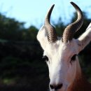 상호리마을 이미지