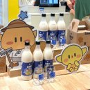 롯데상회 | 대전 꿈돌이 팝업 롯데백화점 꿈씨상회 후기