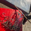 신기낙시터 이미지