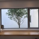 일로평안 이미지