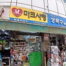 상록수체육사