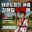 고려튼튼태권도장 이미지