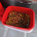 원조김치사랑 이미지