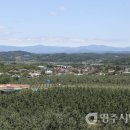 대촌1리 이미지