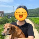 지은이네 민박 이미지