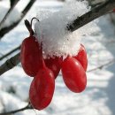 세상만사 이미지