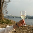 개꿀샵 | 망원한강공원 돗자리대여 <술도란> 후기 + 숨겨진 피크닉 개꿀스팟