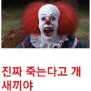 당신이 상해에 대해 처몰랏던 사실...