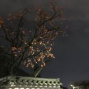 황안과의원 이미지