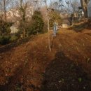 산마늘펜션 이미지