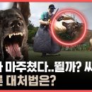 종례 Daum카페