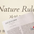 국제갤러리 최재은 개인전 자연국가 후기 서울 무료 전시 삼청동 데이트