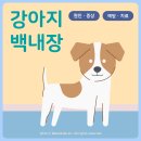 원당동물병원 이미지