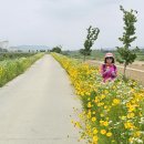 이천버스터미널 이미지