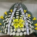 고령대가야장례식장
