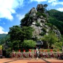 꼴두바우 이미지