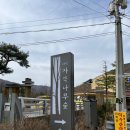 지지리골 | 태백 지지리골 자작나무 숲 산책길 다녀옴