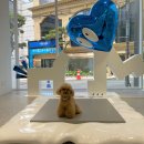 KNOLLO(놀로) 이미지