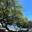 퀸스비치 이미지