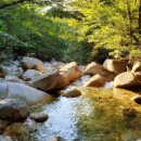 달맞이동산지구 이미지
