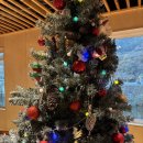 카페더로그앤통나무집 이미지