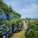 농부의 정원 이미지