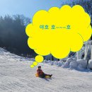 밀양눈썰매장 경남밀양썰매장 후기 밀양 참샘허브나라썰매장 솔직하게..