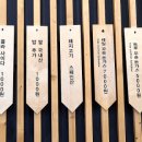 꼬숑 이미지