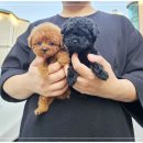 강송로74번길 이미지