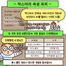 34 | 막스마라 마누엘라 카멜 IT 34 실착 후기🧥| 158cm 착용감| 로마 콘도티 거리 구매