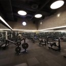 강남-227 이미지