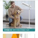 지니헤어모드