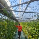 펜션다솔강C 이미지