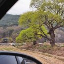 빨래터캠핑장 이미지