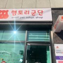 햄토리 군단 이미지