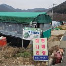 영구네농장 이미지