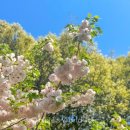 회수동-6 이미지