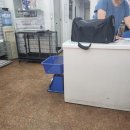 대관령동물병원 이미지