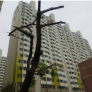 계산공업고 이미지