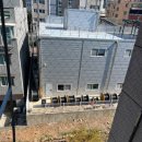 비둘기길 | 반짝클린 방문 후기 ✨ 전국 출장 비둘기퇴치 전문업체