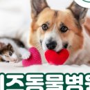 건강하게동물병원 이미지