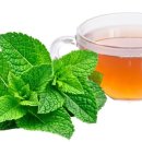 준 휘트니스 이미지