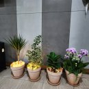 한타경희한의원 이미지