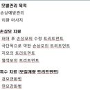 미용학개론 이미지