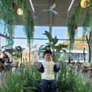 담양을 담다 | 담양 대형카페 담다 후기 |야외정원·베이커리·2층 분위기까지 솔직리뷰