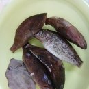 거제도에 가서 낚시로 잡았다는 생선들 (사진4장) 이미지