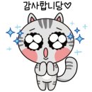 엔제리너스두정점